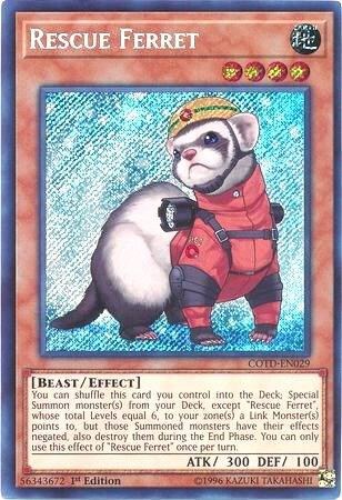 Rescue Ferret - Unlimited