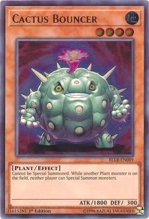 Cactus Bouncer