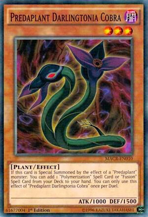 Predaplant Darlingtonia Cobra - 1st Edition