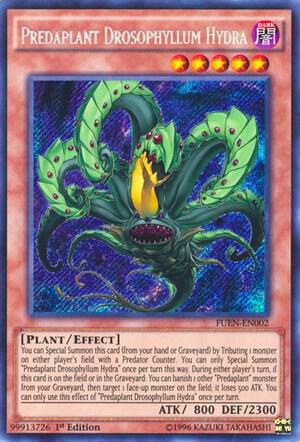 Predaplant Drosophyllum Hydra - Unlimited