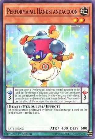 Performapal Handstandaccoon - Unlimited