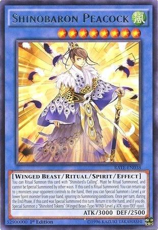 Shinobaron Peacock - Unlimited