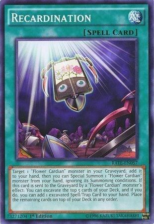 Recardination - 1st Edition
