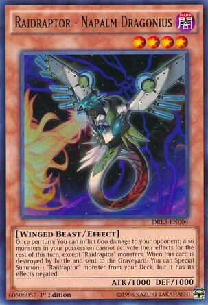 Raidraptor - Napalm Dragonius
