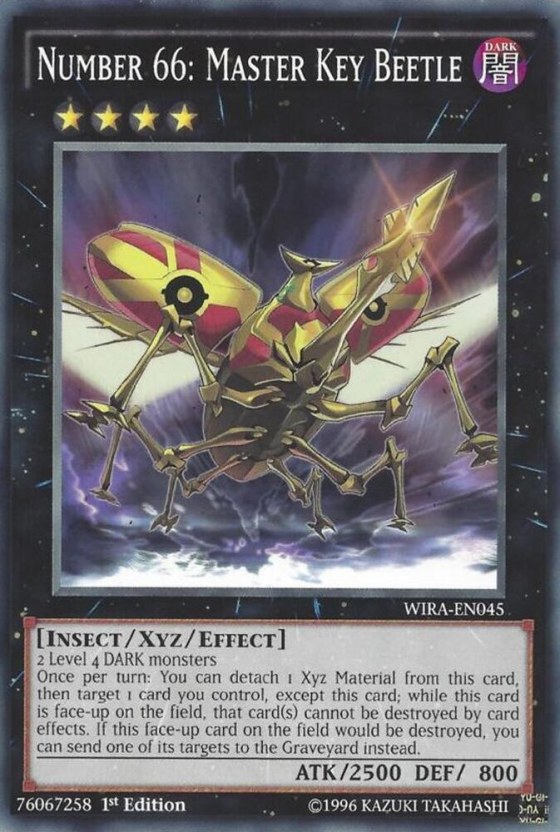 Number 66: Master Key Beetle