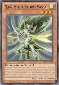 Garum the Storm Vassal - Unlimited