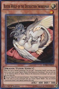 Buster Whelp of the Destruction Swordsman - Unlimited
