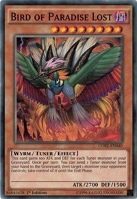 Bird of Paradise Lost - Unlimited