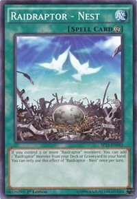 Raidraptor - Nest - 1st Edition