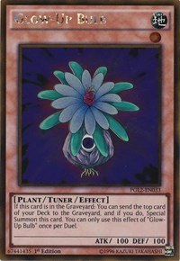 Glow-Up Bulb - 1st Edition