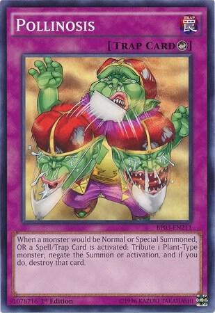 Pollinosis - 1st Edition