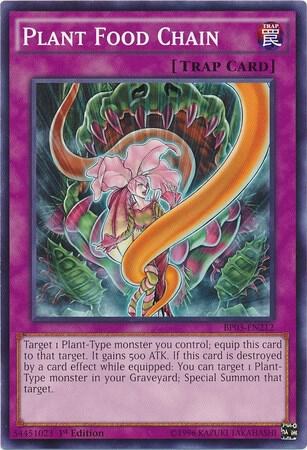 Plant Food Chain - 1st Edition