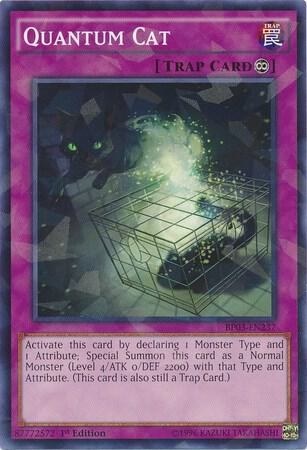 Quantum Cat - Shatterfoil