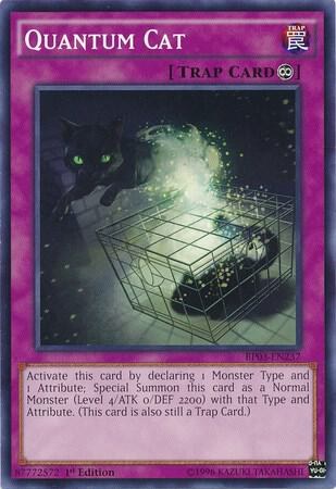 Quantum Cat - 1st Edition