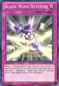 Black Wing Revenge - 1st Edition