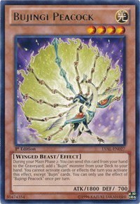 Bujingi Peacock - 1st Edition
