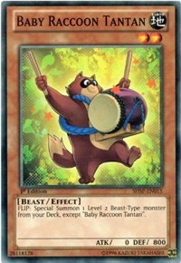 Baby Raccoon Tantan - Unlimited