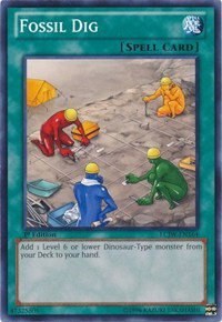 Fossil Dig