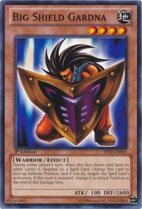 Big Shield Gardna - Unlimited