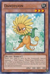 Dandylion - 1st Edition