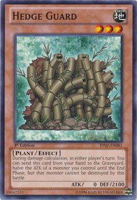 Hedge Guard - 1st Edition