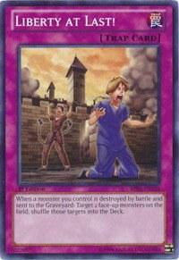 Liberty at Last! - 1st Edition