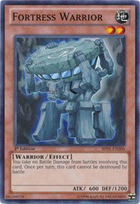 Fortress Warrior - 1st Edition