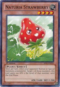 Naturia Strawberry - 1st Edition