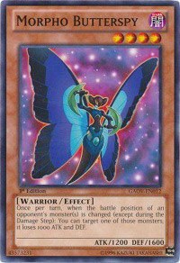 Morpho Butterspy - Unlimited