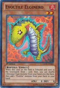Evoltile Elginero - Unlimited