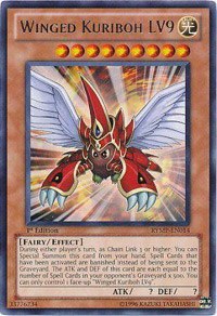 Winged Kuriboh LV9 - 1st Edition