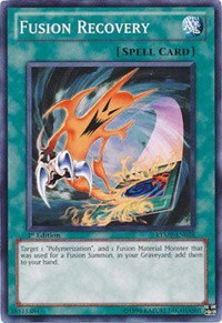 Fusion Recovery - 1st Edition