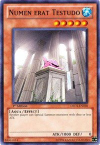 Numen erat Testudo - Unlimited