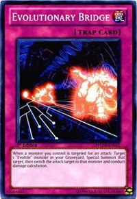Evolutionary Bridge - 1st Edition