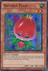 Naturia Tulip - 1st Edition