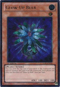 Glow-Up Bulb - Utr