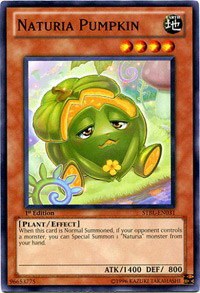 Naturia Pumpkin - 1st Edition