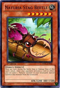 Naturia Stag Beetle