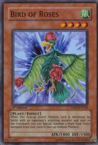 Bird of Roses - 1st Edition