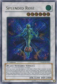 Splendid Rose - Utr First Edition