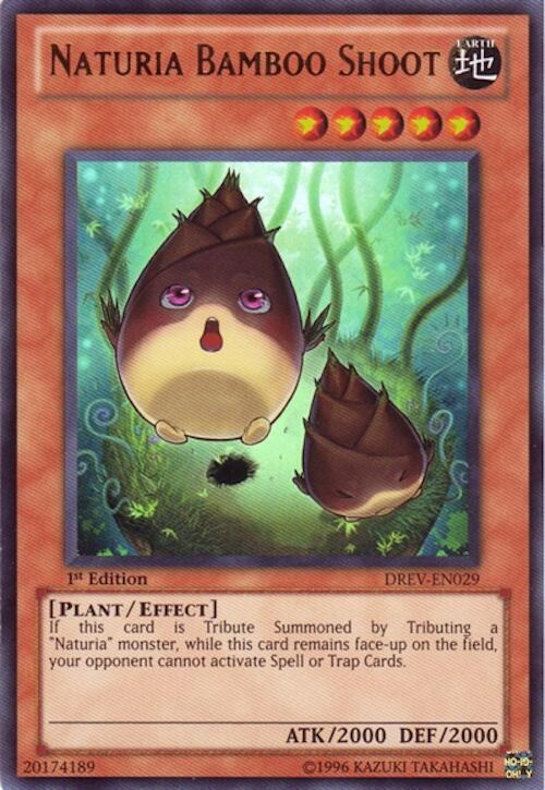 Naturia Bamboo Shoot - Unlimited