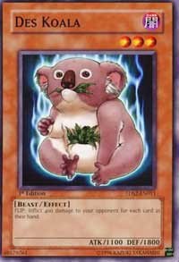 Des Koala - 1st Edition