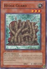 Hedge Guard - 1st Edition