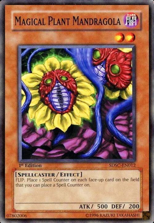 Magical Plant Mandragola - 1st Edition
