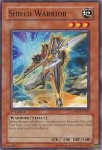 Shield Warrior - Unlimited