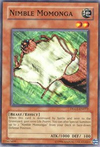 Nimble Momonga