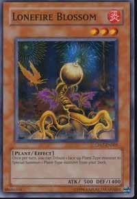 Lonefire Blossom