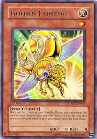 Golden Ladybug - Unlimited