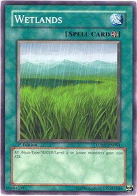 Wetlands - 1st Edition