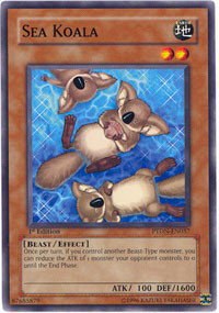 Sea Koala - 1st Edition